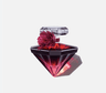 La Nuit Tresor Intense Eau De Parfum - Main