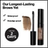 ColorStay Brow Fiber Filler - 