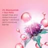 Multi-Active Day Cream- All Skin Types - 