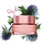 Multi-Active Day Cream- Dry Skin - Main