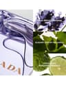 Amber Men Eau De Toilette - 
