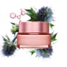 Multi-Active Day Cream- All Skin Types - Main