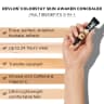 Colorstay 5 In 1 Concealer - 