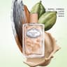 Infusion de Santal Chai Eau de Parfum - 