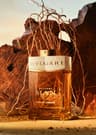 Man Terrae Essence - 