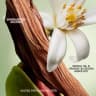 Paradoxe Radical Essence Parfum - 