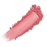Powder Blush - 