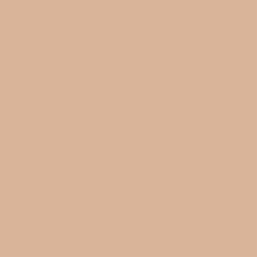 Invisible Oil Blocking Pressed Powder – image 2