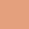 Invisible Oil Blocking Pressed Powder - 