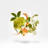 1861 Naxos Eau De Parfum - 