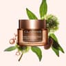 Extra-Firming Night Cream - Main