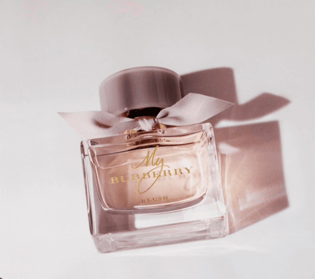My Burberry Blush – image 4