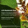 Multi-Intensive Night Cream- All Skin Types - 