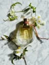 Nomade Jasmin Naturel Intense Eau De Parfum - 