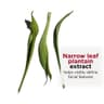 Super Restorative Remodelling Face Serum - 