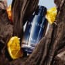 Sauvage Eau De Toilette - 