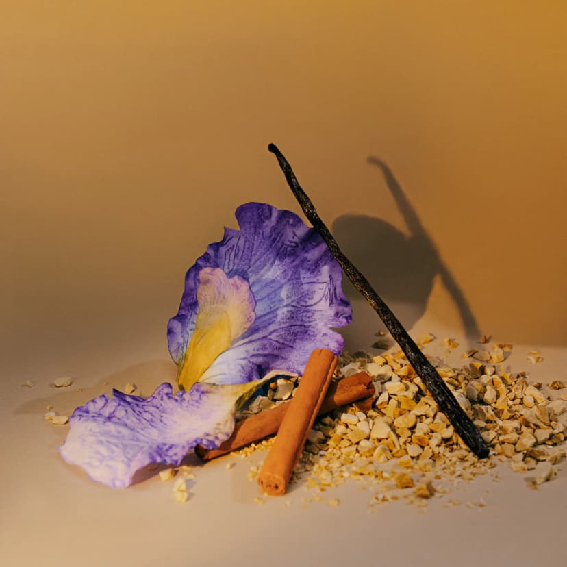 Tribal Elixir – image 5