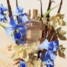Uomo Eau De Toilette - 