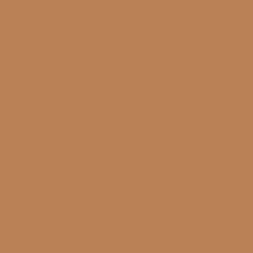 True Color Face And Body Concealer – image 2
