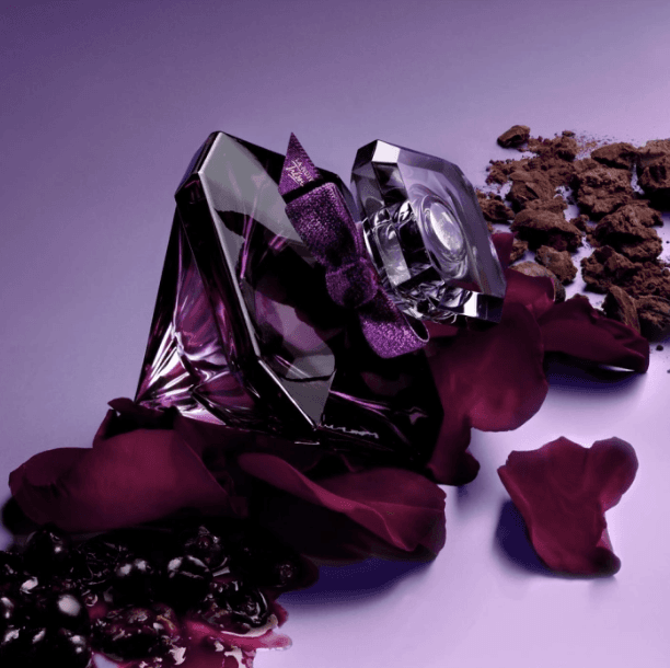 La Nuit Tresor Le – image 3