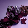 La Nuit Tresor Le Parfum - 