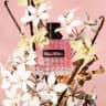 Donna Born In Roma Eau De Parfum - 