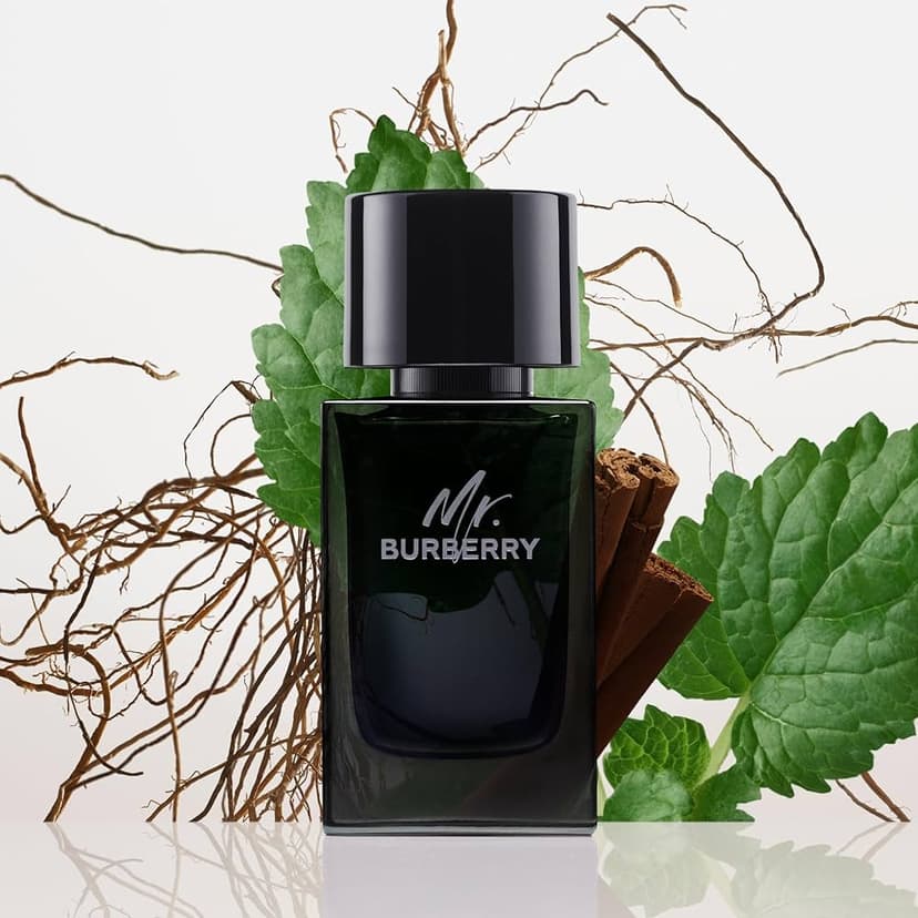 Mr Burberry – image 3