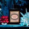 Bloom Eau De Parfum Intense - 