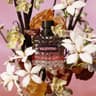 Donna Born In Roma Eau De Parfum Intense - 
